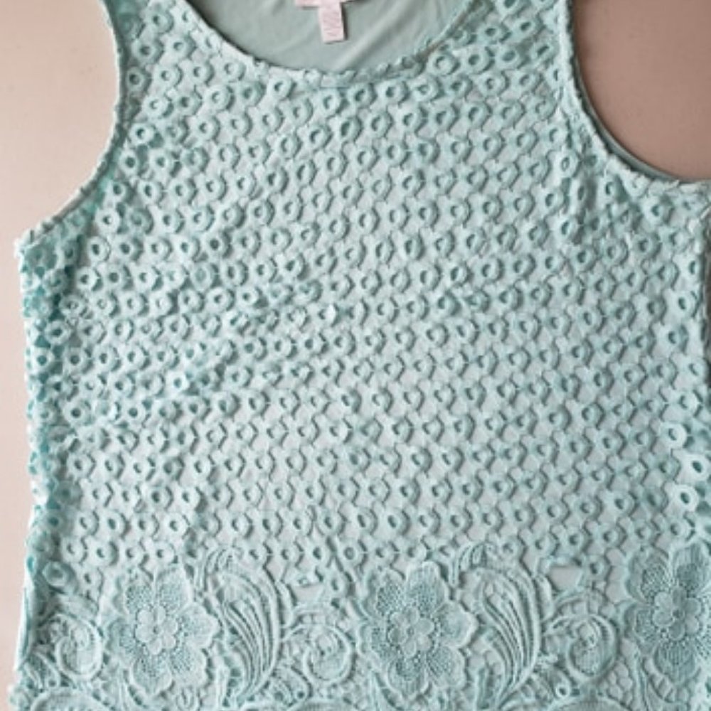 Charter Club Womens XL Aqua Gloss Blouse